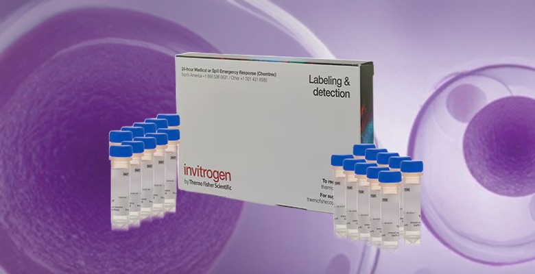 Assays and Reagents